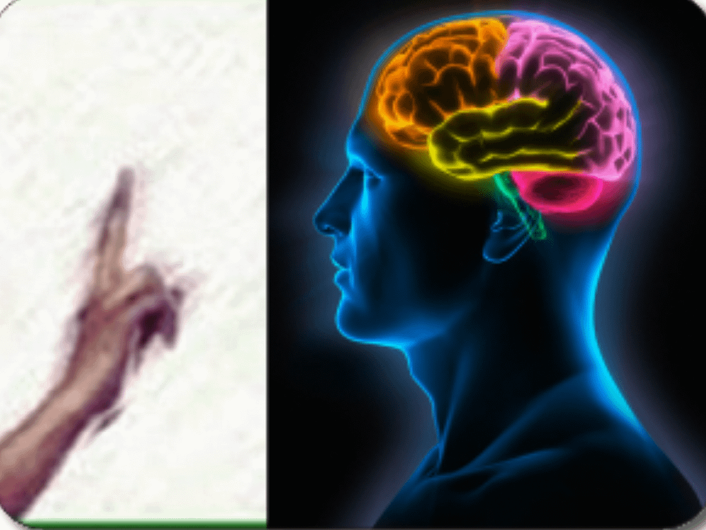 Applicazione EMDR: mano che guida il movimento oculare e cervello umano, aree stimolate.