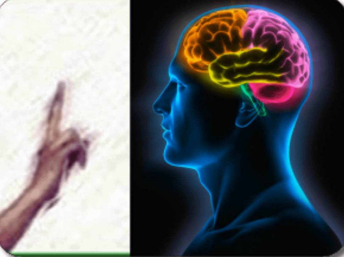 Applicazione EMDR: mano che guida il movimento oculare e cervello umano, aree stimolate.