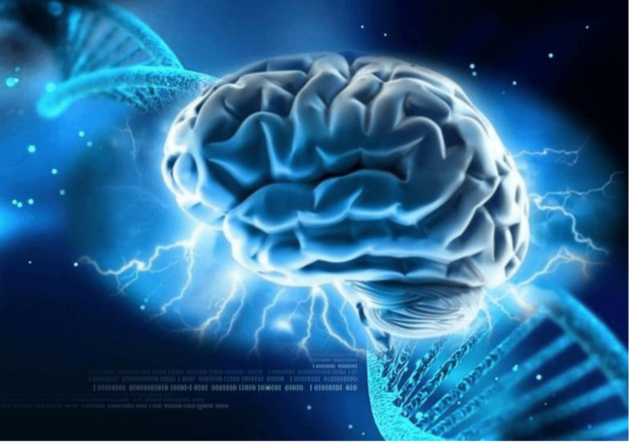 Cervello umano e DNA. Stati mentali superiori, espressione genica e salute.
